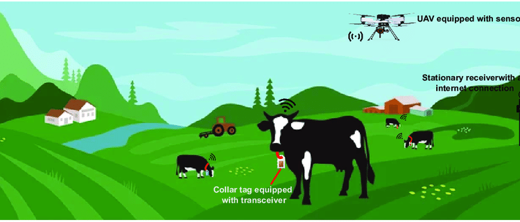 Animal Health: How AI and Drones Make a Big Difference