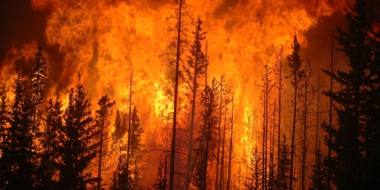 2023 was the hottest yera on record