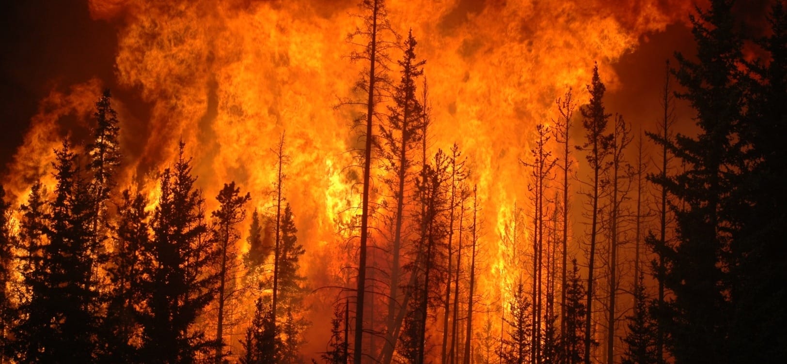 2023 was the hottest yera on record