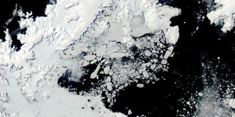 Sea Ice