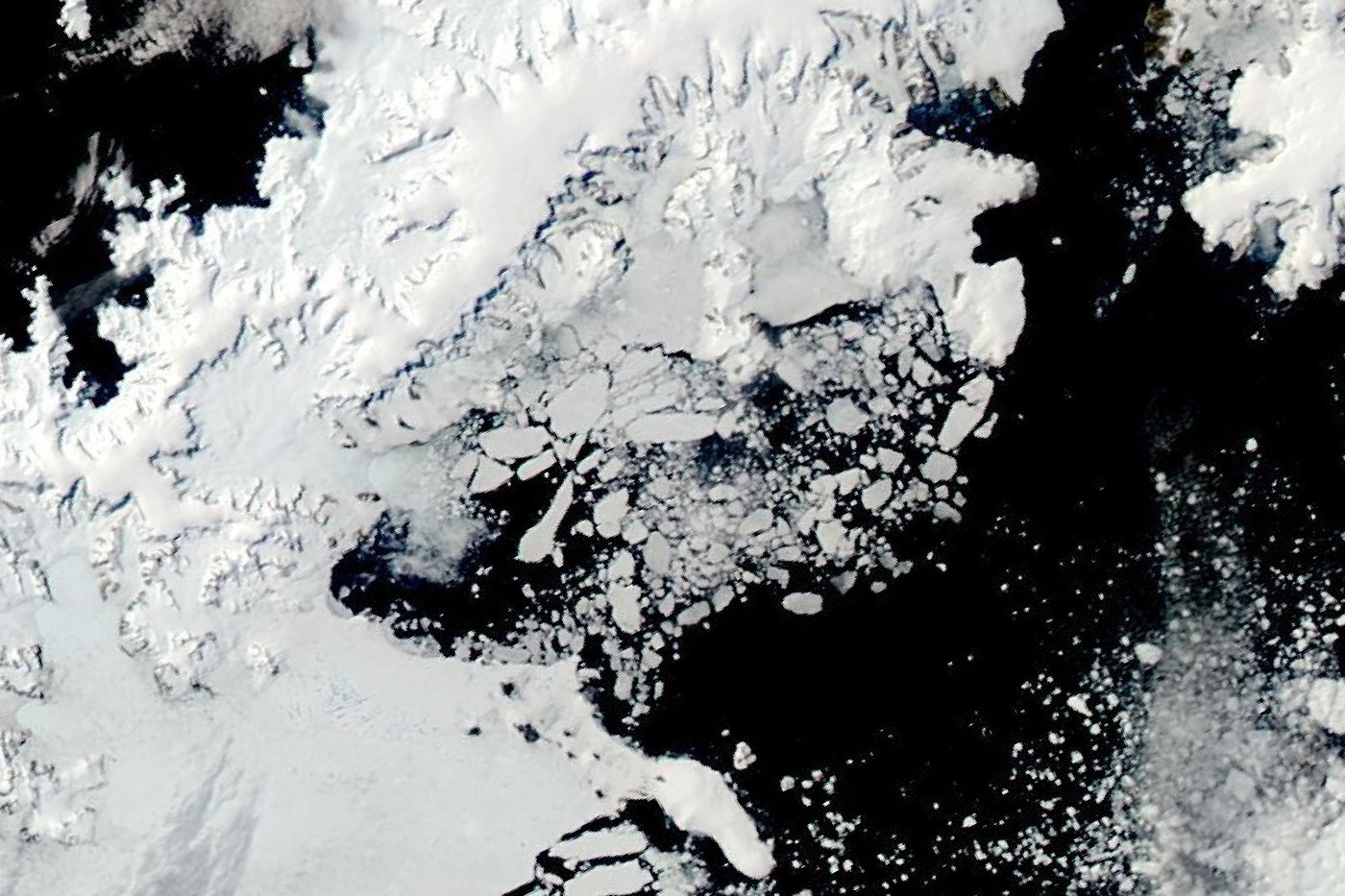 Sea Ice