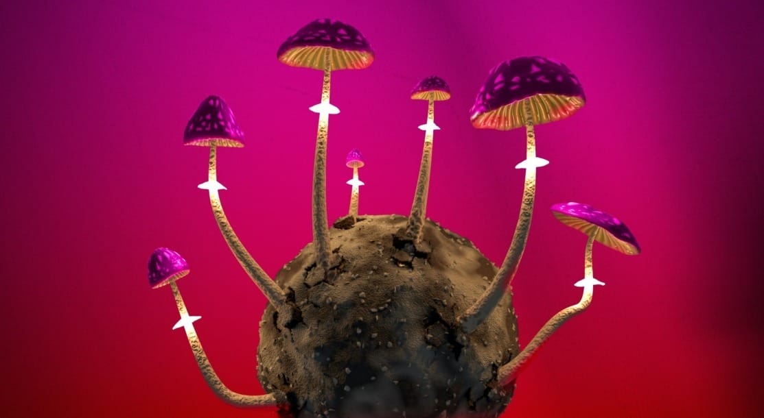 climate change and infectious diseases