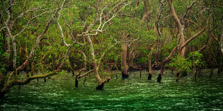 Islands climate change