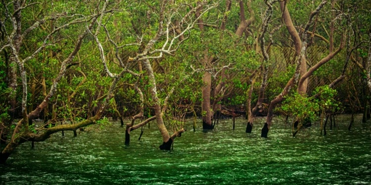 Islands climate change