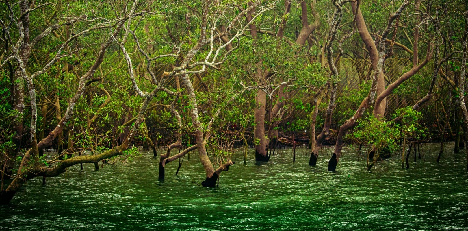 Islands climate change