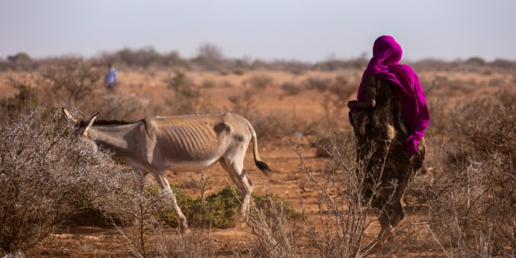 Climate change Africa