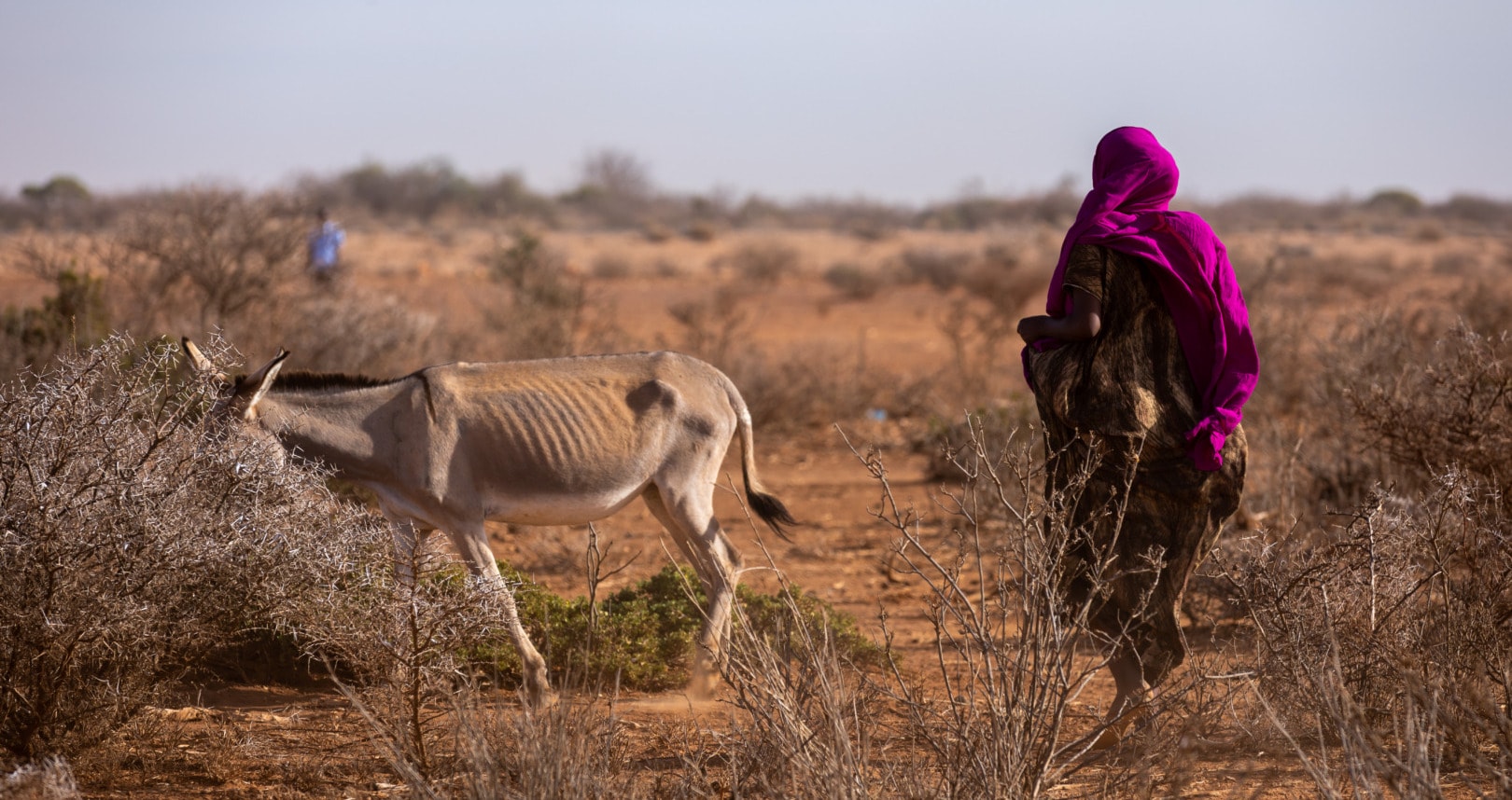 Climate change Africa