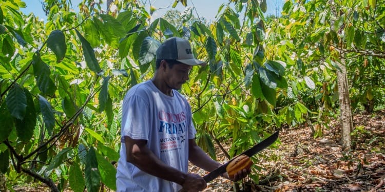 Regenerative Agriculture as a Carbon Solution Powerhouse