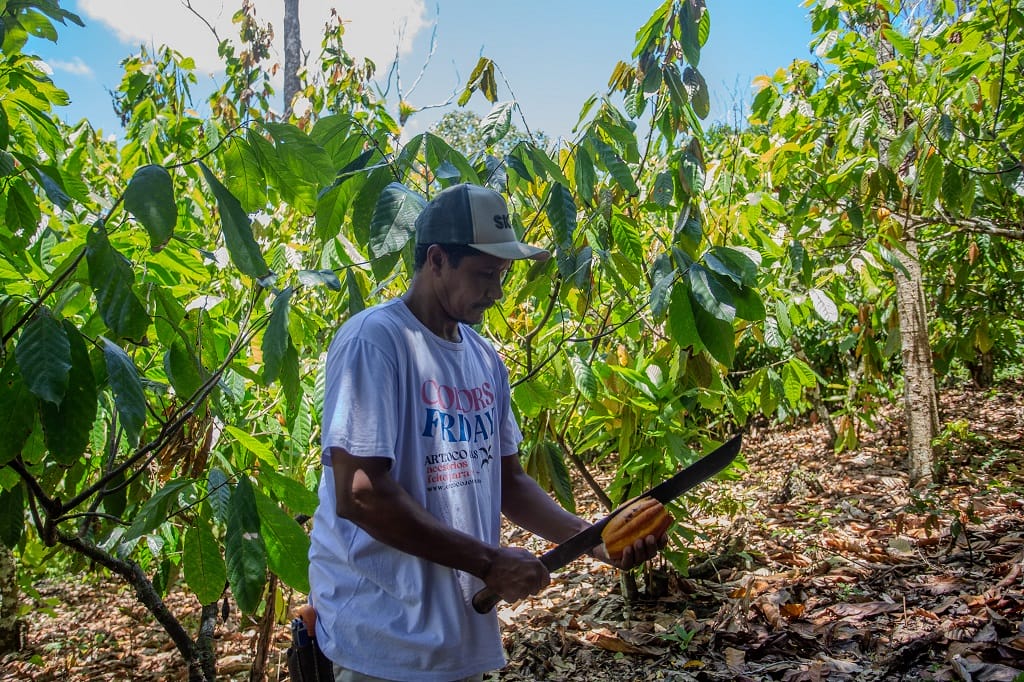 Regenerative Agriculture as a Carbon Solution Powerhouse
