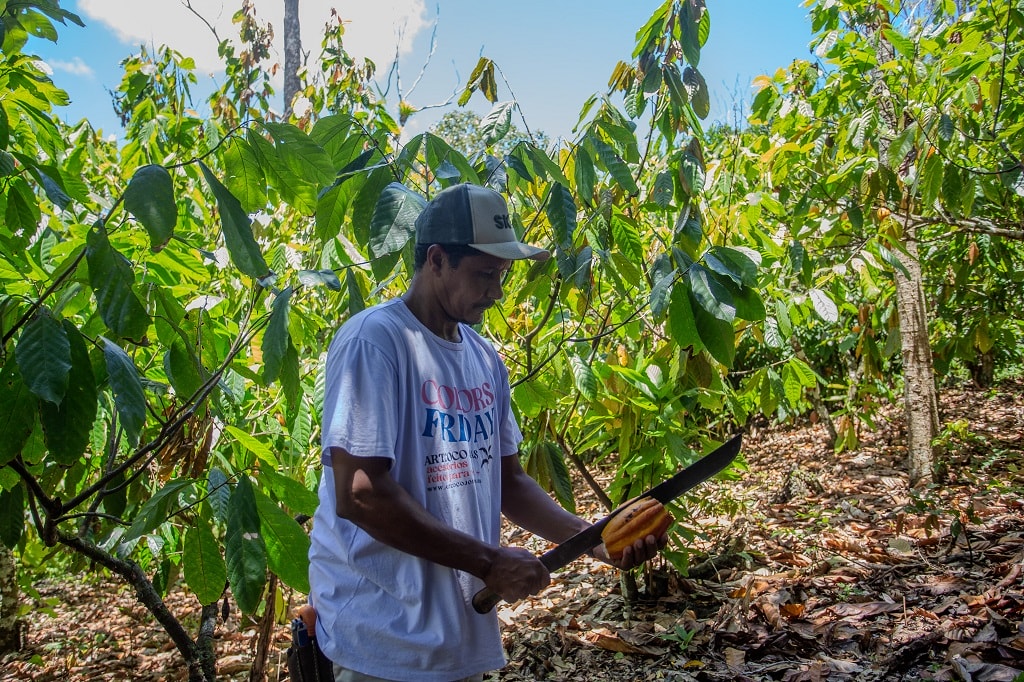 Regenerative Agriculture as a Carbon Solution Powerhouse