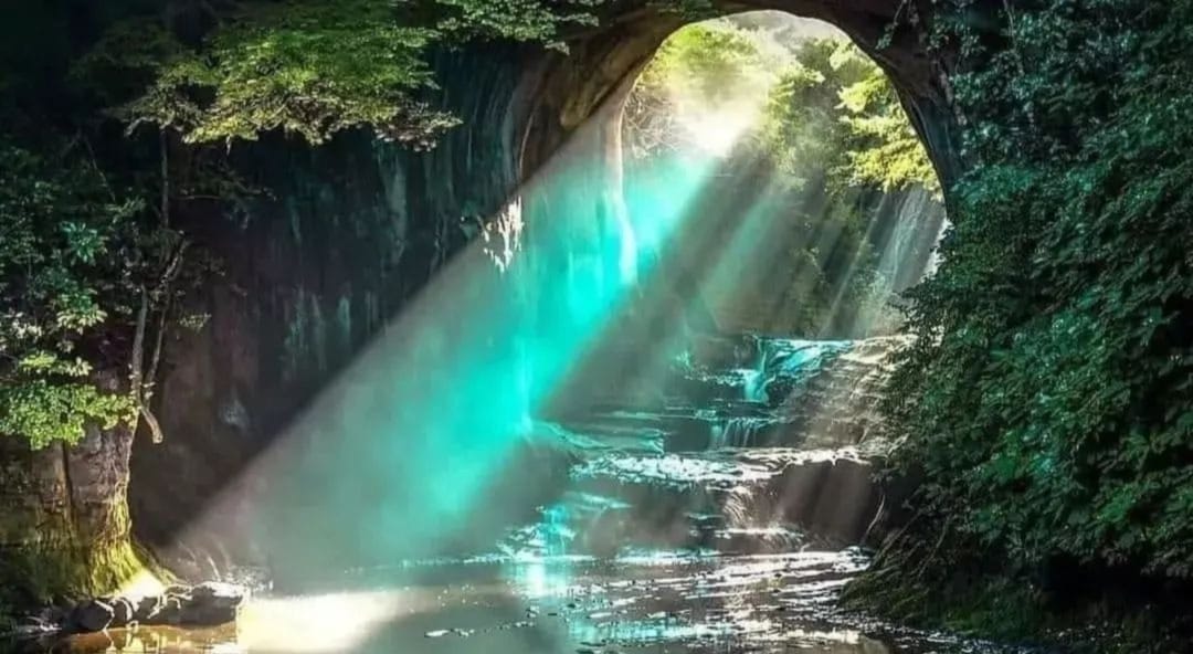 Amazon rainforest France and Brazil