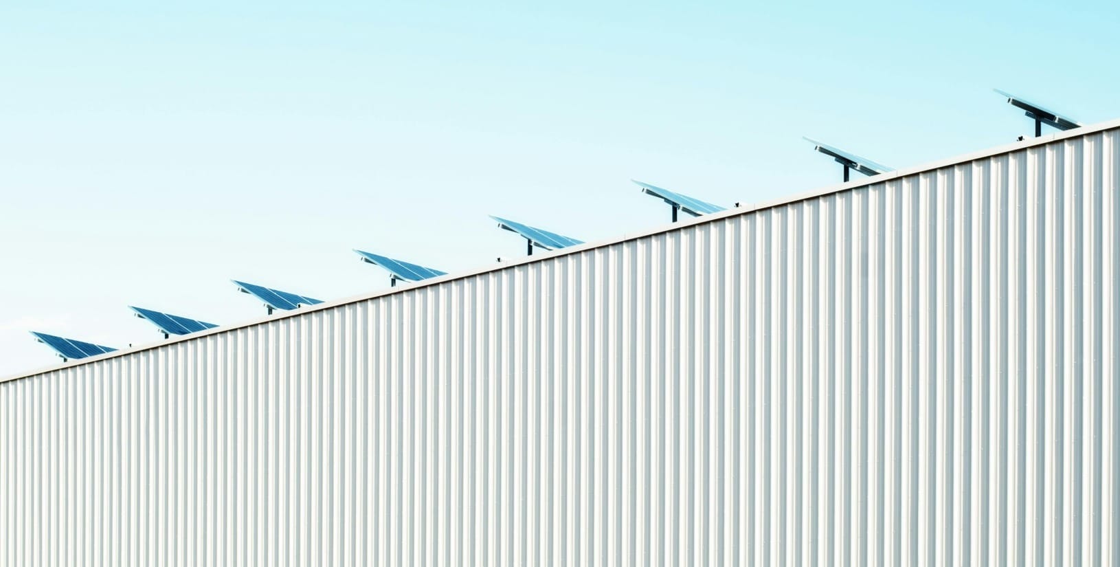 sustainability businesses