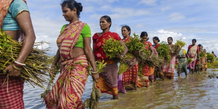 climate change health