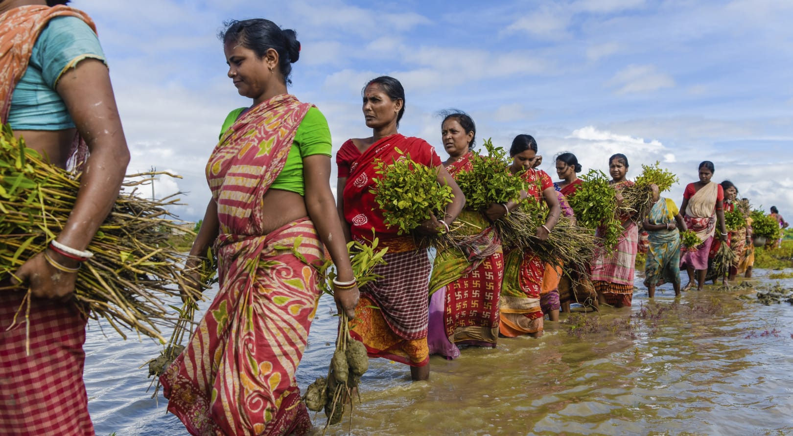 climate change health