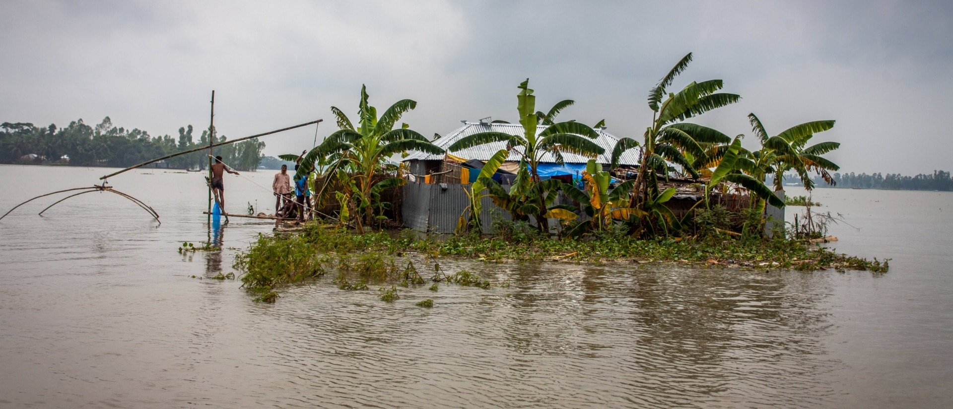 Climate change agriculture