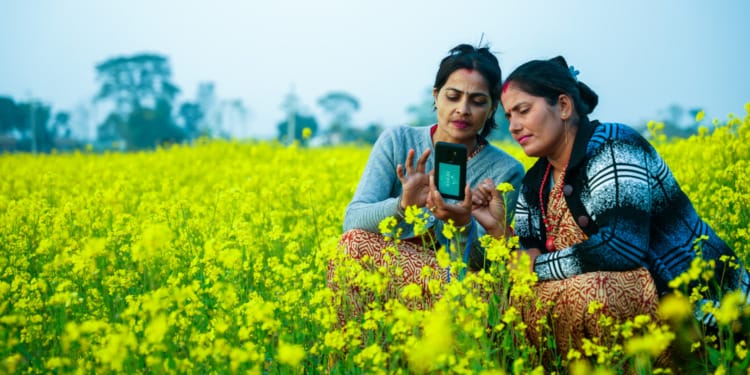 AI smallholder farmers