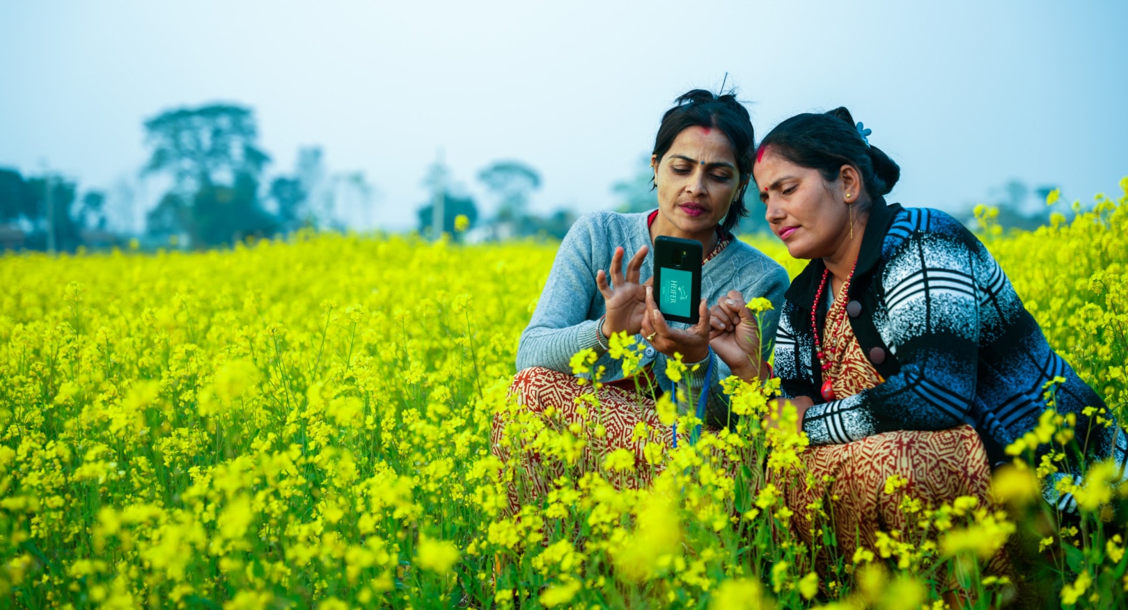 AI smallholder farmers