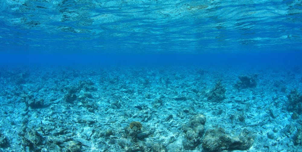 Law of the Sea Ruling Is an ‘Important Milestone’ for Climate and Ocean Action