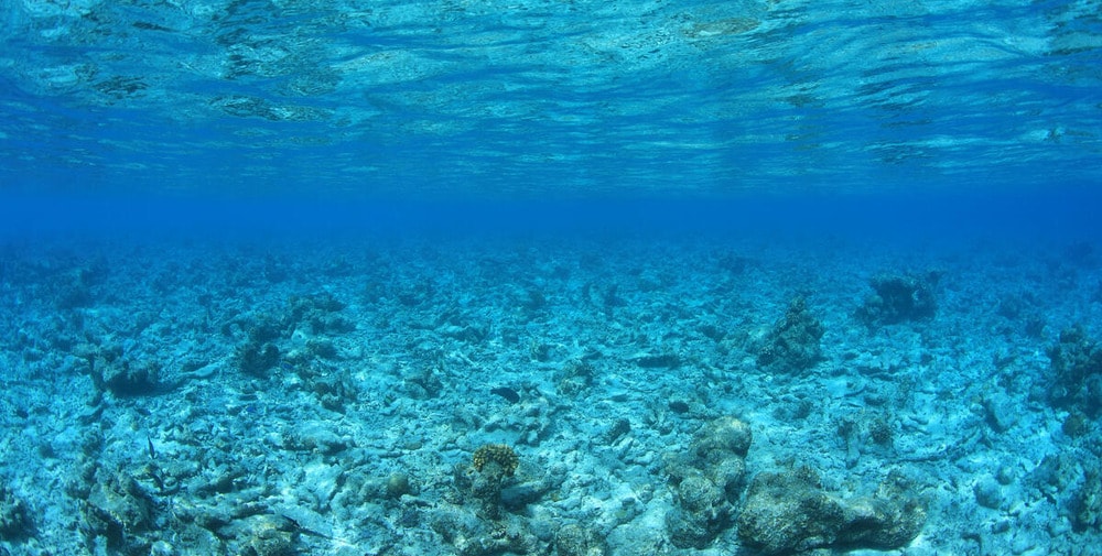 Law of the Sea Ruling Is an ‘Important Milestone’ for Climate and Ocean Action