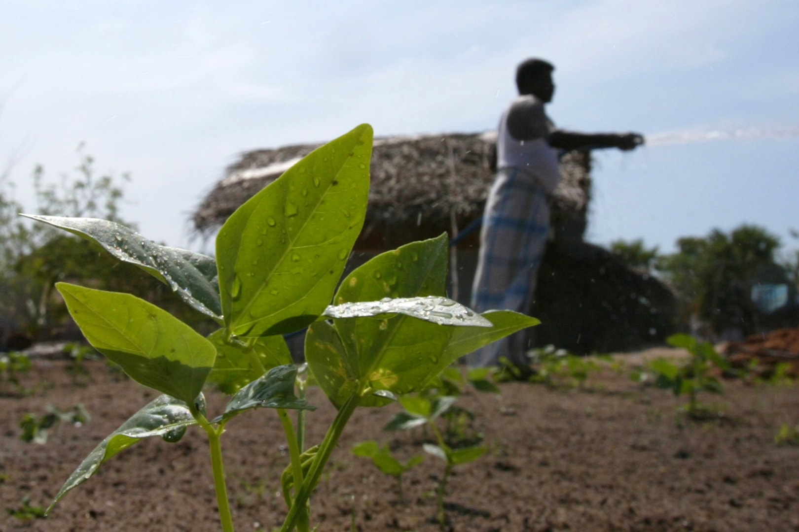 Water, peace and agriculture