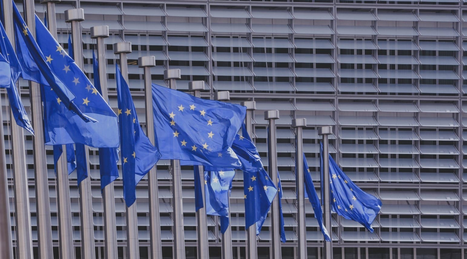 Corporate Sustainability Due Diligence Directive