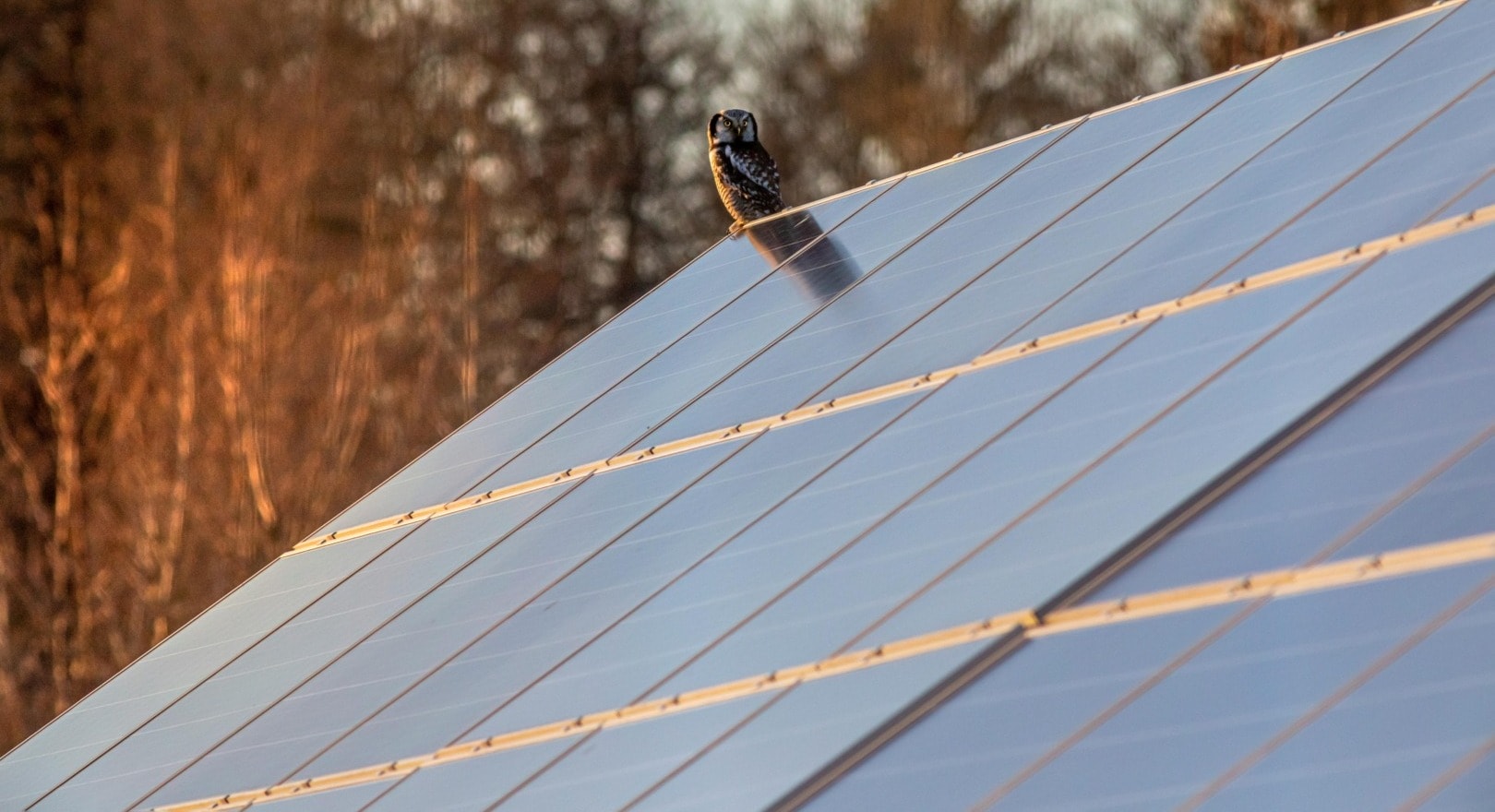 Climate finance startups