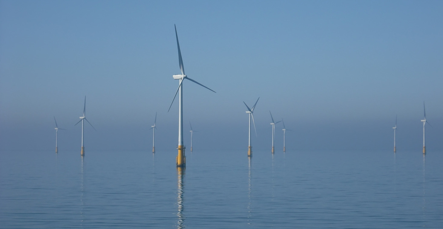 offshore wind wildlife