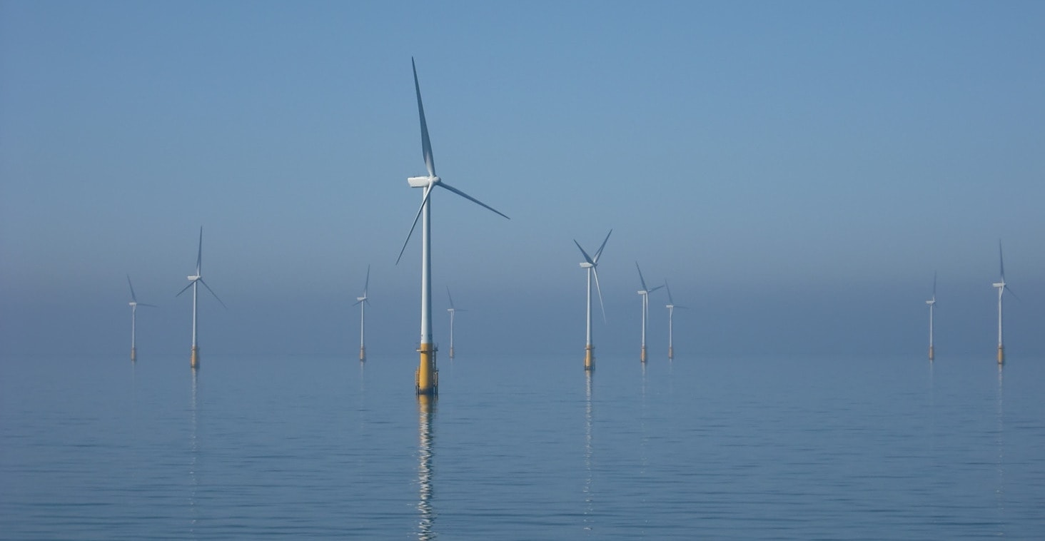 offshore wind wildlife