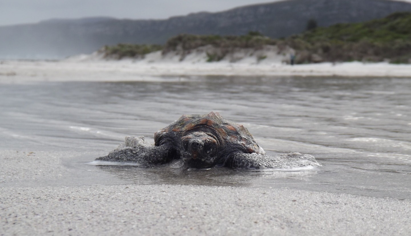 Overstrand Local Municipality