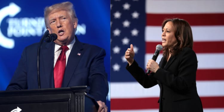 Harris and Trump, Where Do We Go From Here?