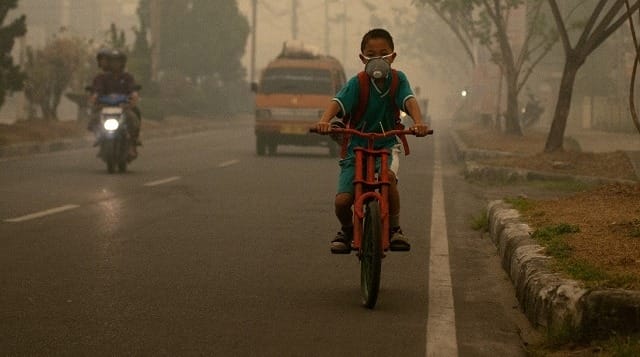 Air Pollution Deaths in Children