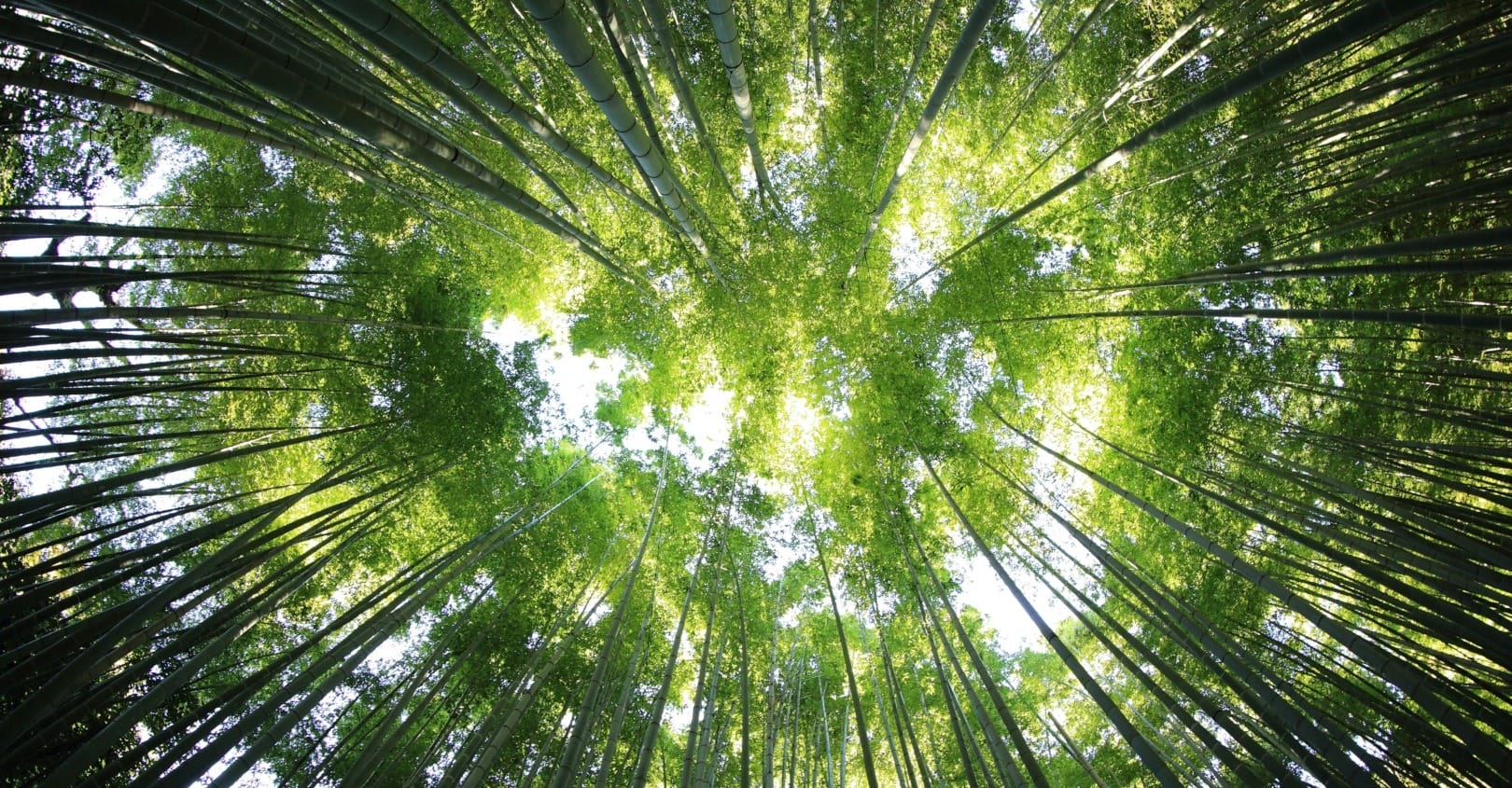 Debt for nature swaps