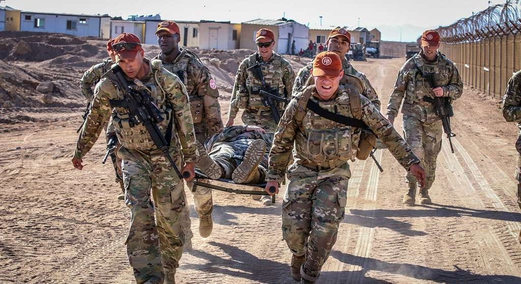 Multinational Force and Observers