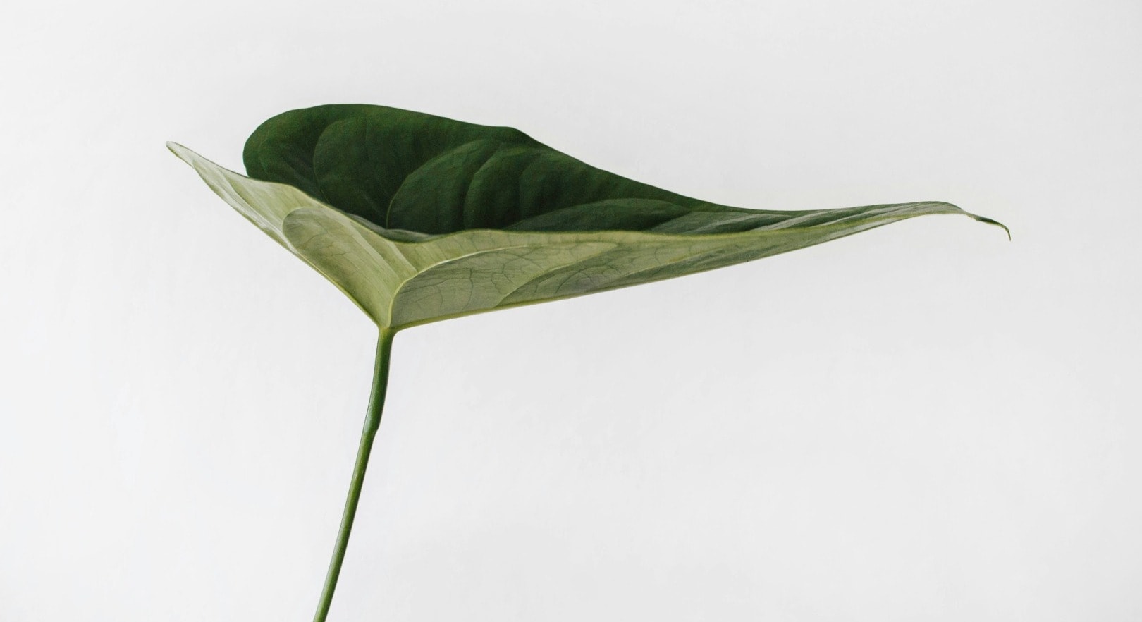 crypto sustainability