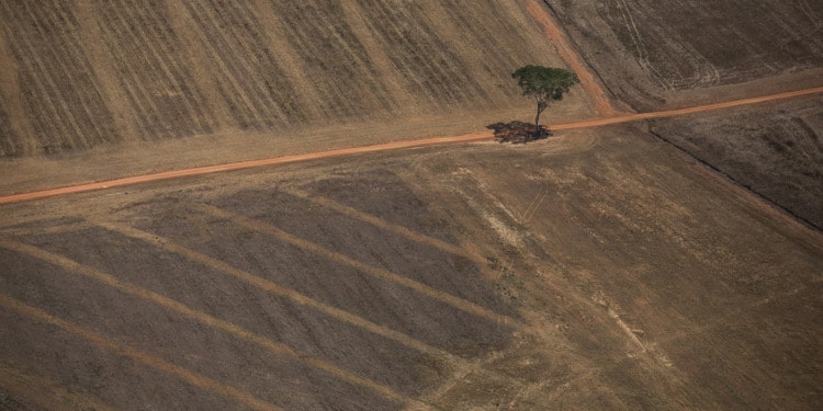 Environmental Defenders Killed