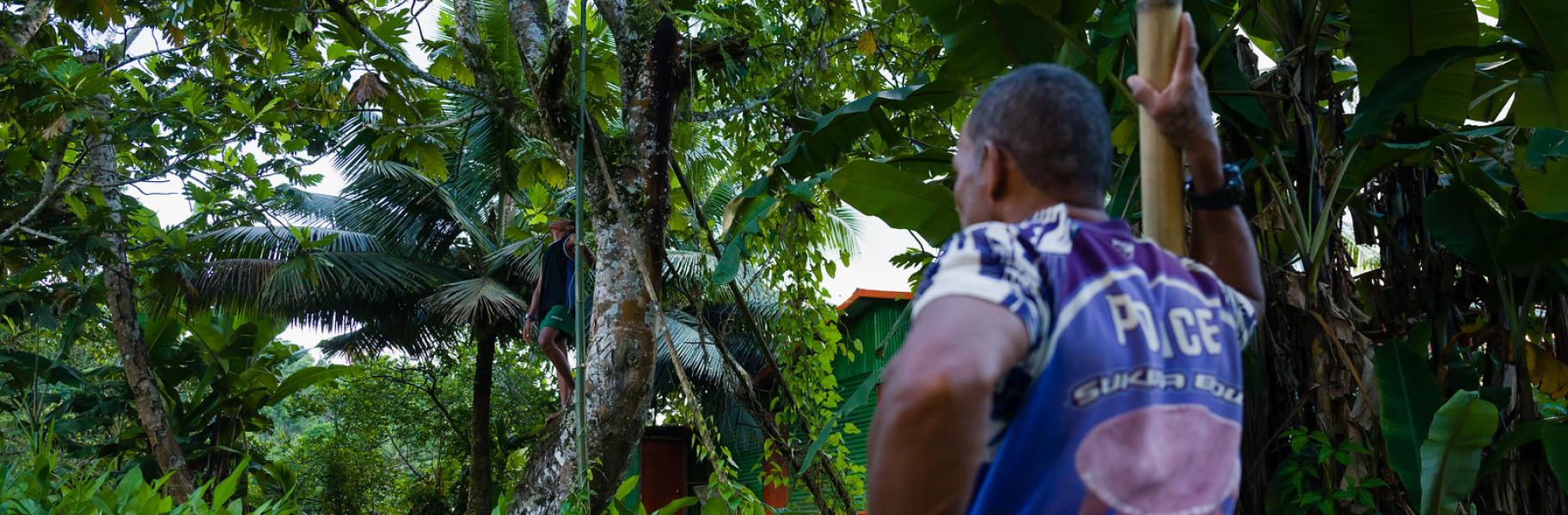 climate change adaptation