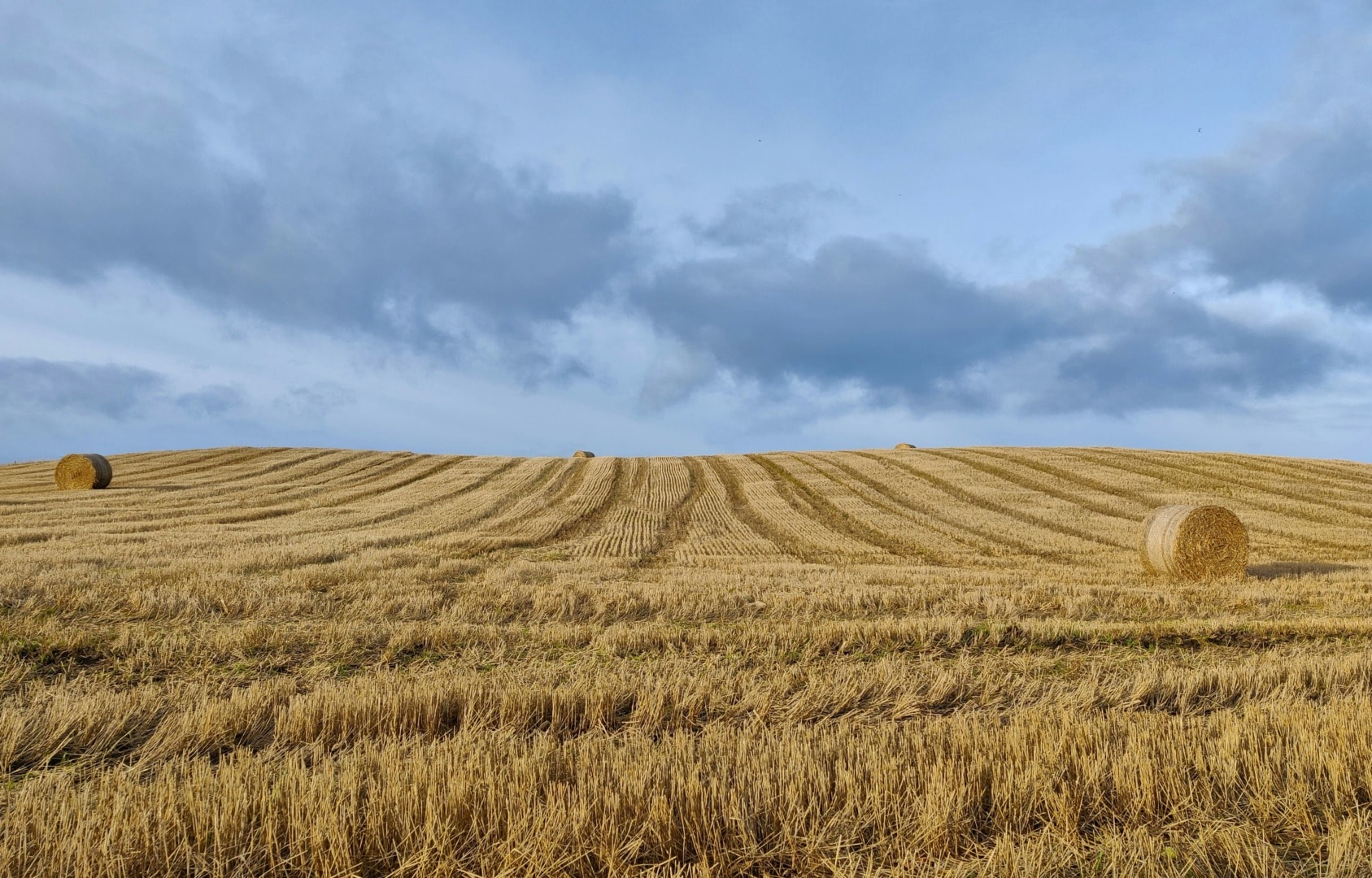 Climate finance critical for agribusiness to achieve sustainability goals.