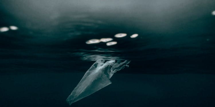 Scientists Discover a New Way to Break Down Plastics