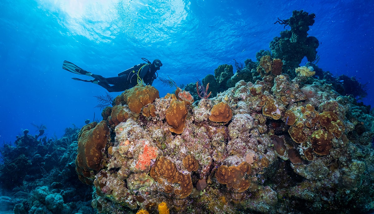 Moratorium on offshore Oil and Gas Drilling