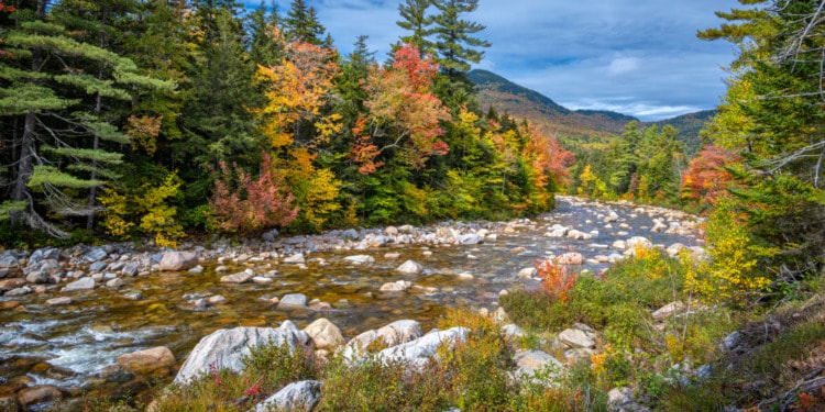 These Are America’s Best States for Quality of Life in 2024