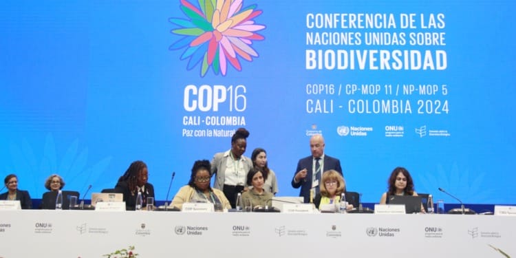 COP16