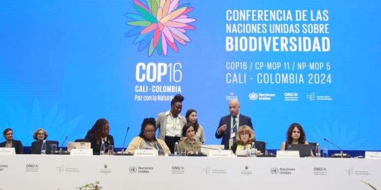 COP16