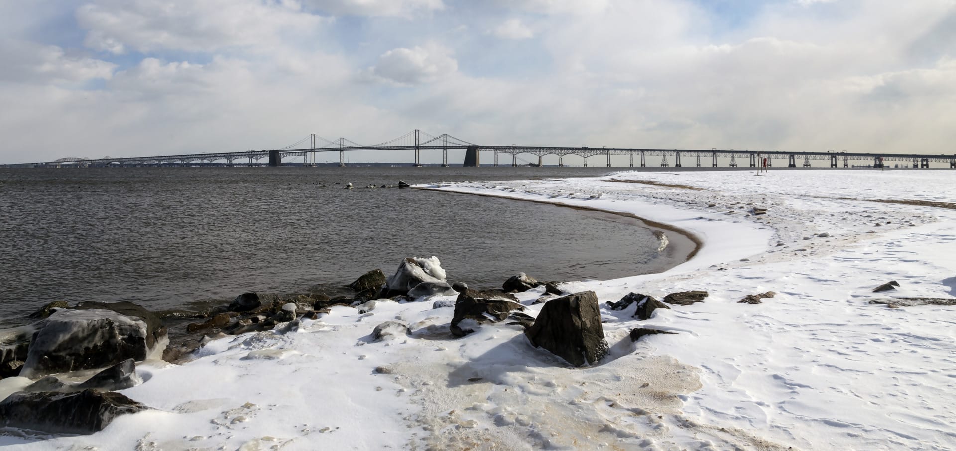 climate change bacteria