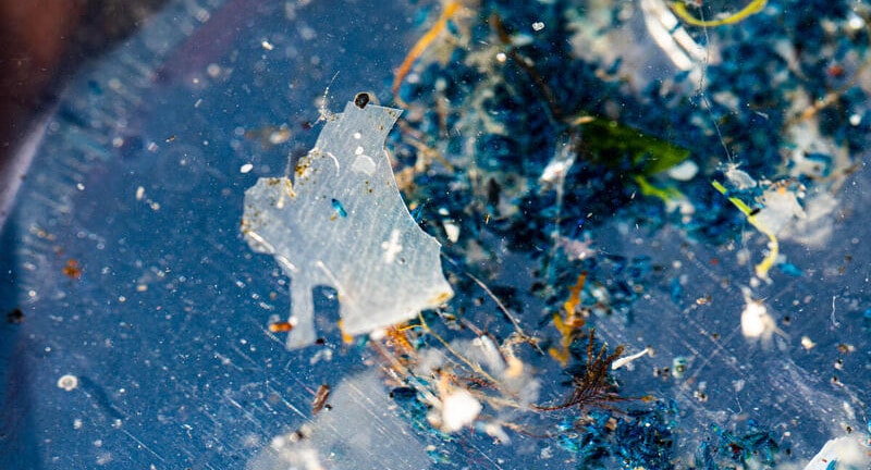 micro- and nano-plastics