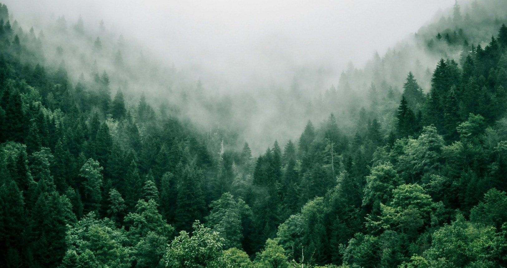 climate action in the mountains