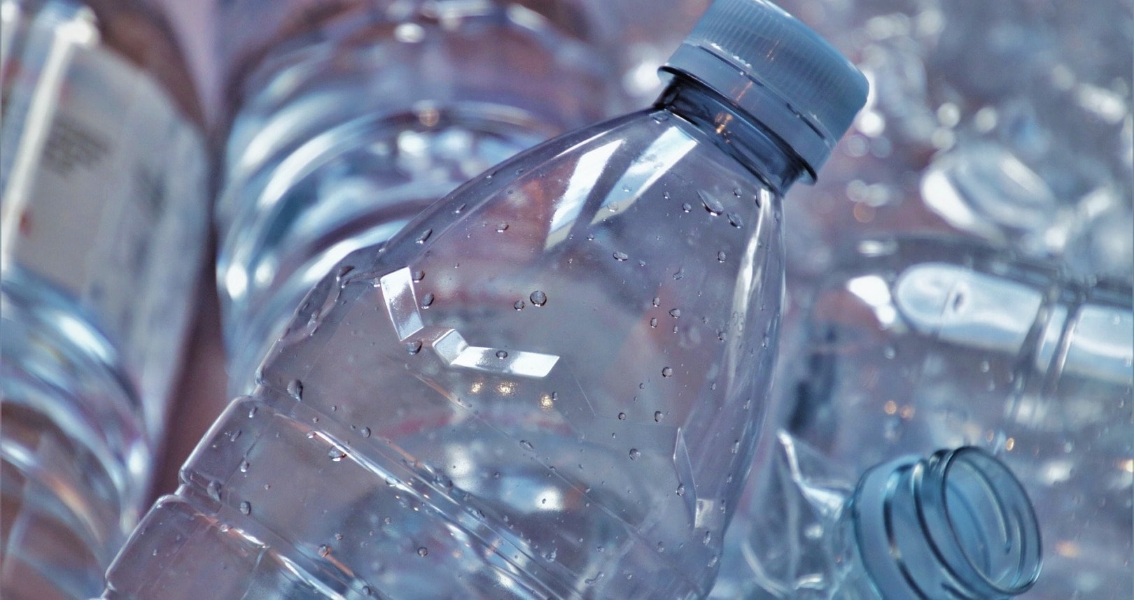 water forever chemicals