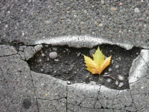ESG News Regarding: New self-healing pothole tech 