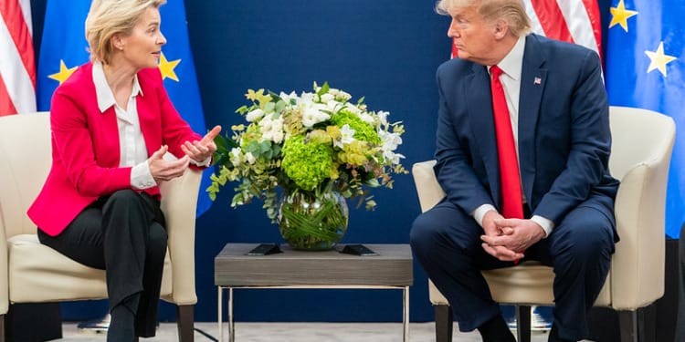 Trump Regime Week 2: More Chaos, What It Means