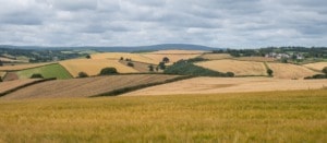 ESG news regarding the British government pesticides plans