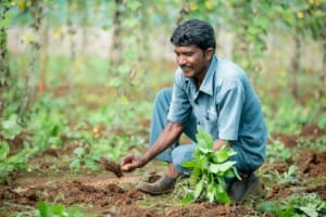 ESG News regarding Microsoft and India's carbon project